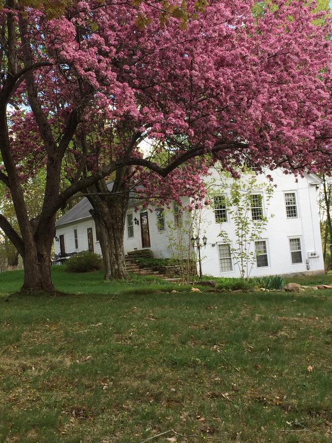 Innkeeper'S Place B&B Stafford 외부 사진